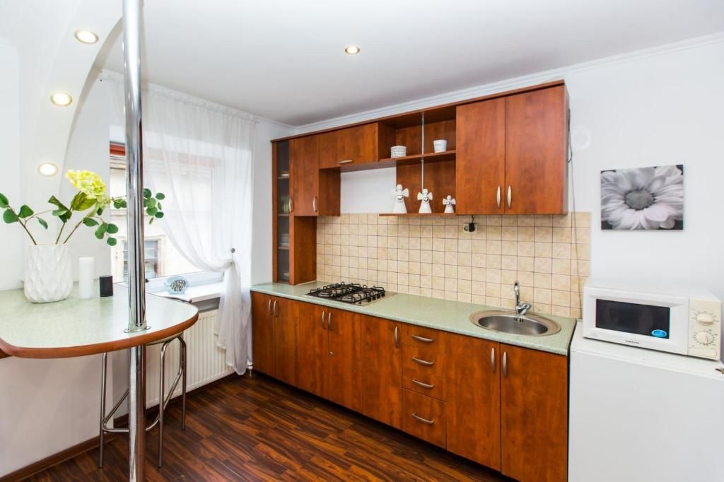 Апартаменты Apartment Ruska 12 Львов