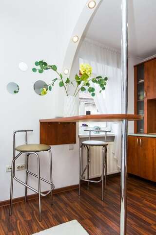 Апартаменты Apartment Ruska 12 Львов Номер-студио-23