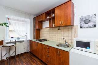 Апартаменты Apartment Ruska 12 Львов Номер-студио-49