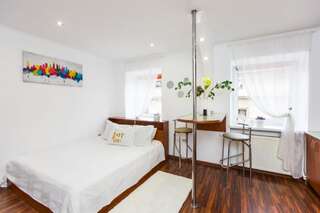 Апартаменты Apartment Ruska 12 Львов Номер-студио-66