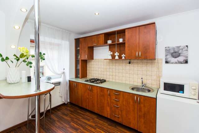 Апартаменты Apartment Ruska 12 Львов-14