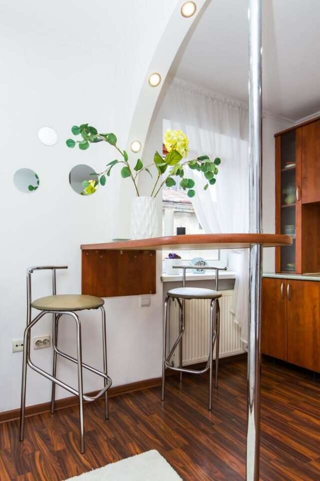 Апартаменты Apartment Ruska 12 Львов-25