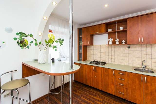 Апартаменты Apartment Ruska 12 Львов-11